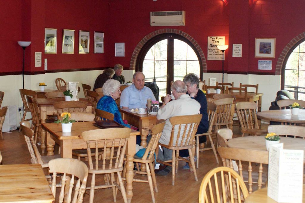 tea-room